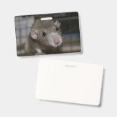 Rattenrat Ausweis (Vorder- & Rückseite)
