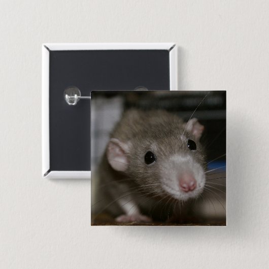 Rattenrat Button (Vorne & Hinten)