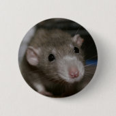 Rattenrat Button (Vorderseite)