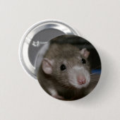 Rattenrat Button (Vorne & Hinten)