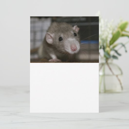 Rattenrat Dankeskarte (Stehend Vorderseite)
