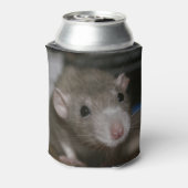 Rattenrat Dosenkühler (Kanne Rückseite)