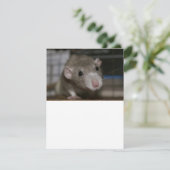Rattenrat Einladung (Stehend Vorderseite)