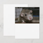 Rattenrat Einladung (Vorne/Hinten)