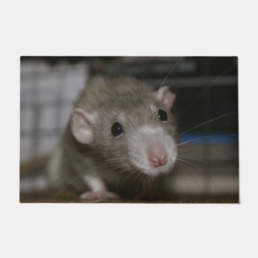Rattenrat Fußmatte (Vorderseite)
