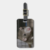 Rattenrat Gepäckanhänger (Vorderseite vertikal)