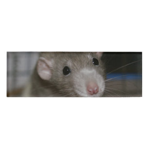 Rattenrat Namenschild
