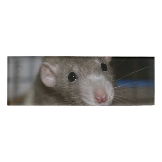 Rattenrat Namenschild (Vorderseite)