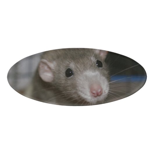 Rattenrat Namenschild (Vorderseite)