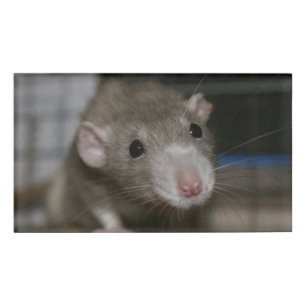 Rattenrat Namenschild