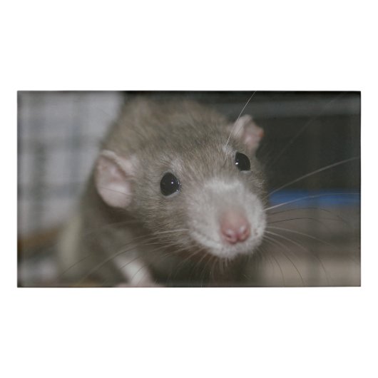 Rattenrat Namenschild (Vorderseite)
