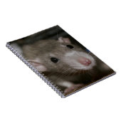 Rattenrat Notizblock (Rechte Seite)