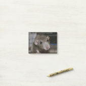 Rattenrat Post-it Klebezettel (Auf Schreibtisch)