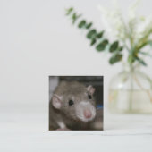 Rattenrat Quadratische Visitenkarte (Stehend Vorderseite)