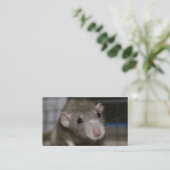 Rattenrat Visitenkarte (Stehend Vorderseite)