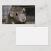 Rattenrat Visitenkarte (Vorne/Hinten)