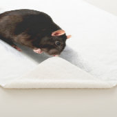 Rattensba Sherpadecke (3/4)