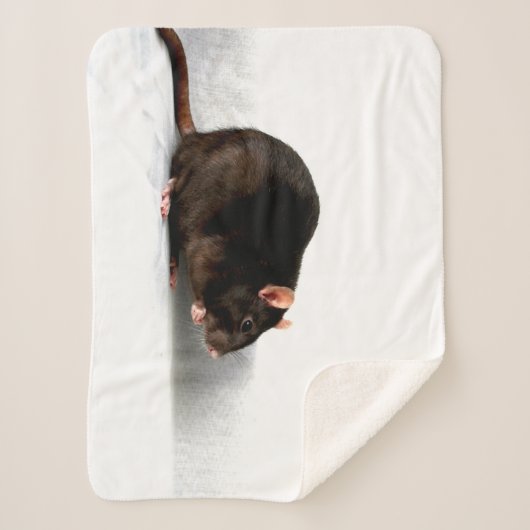 Rattensba Sherpadecke (Vorderseite)