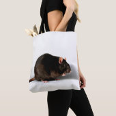 Rattenstcsm Tasche (Von Nahem)