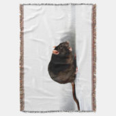 Rattentbcnm Decke (Vorderseite Vertikal)