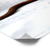 Rattenwapcnm Poster (Ecke)