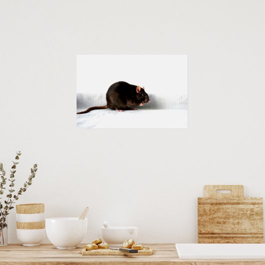 Rattenwapcnm Poster (Küche)