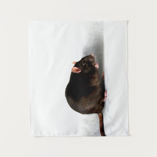 Rattenwolke Wandteppich (Vorderseite)