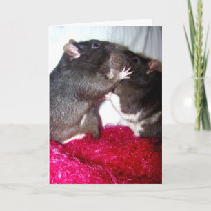 Rattie Kisses Karte