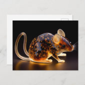 Rattie Postkarte (Vorne/Hinten)