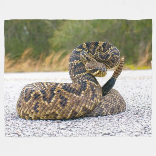 RATTLE SNAKE FLEECEDECKE (Vorderseite (Horizontal))