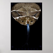 Rattle Snake Head Black Poster (Vorne)