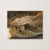 Rattle Snake Puzzle (Horizontal)