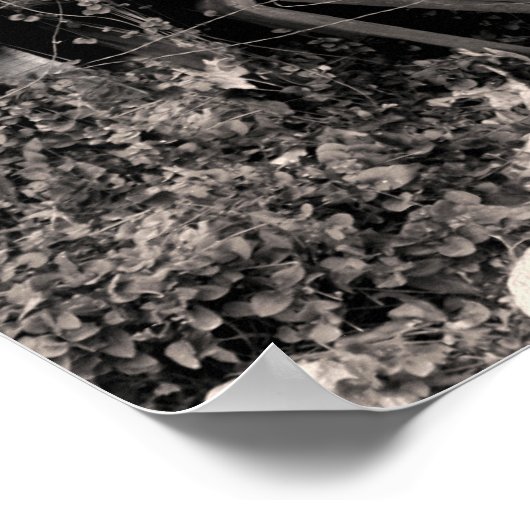 Rattler Snaks Poster (Ecke)