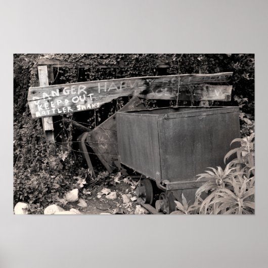 Rattler Snaks Poster (Vorne)