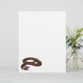 Rattlesnacht mit Weihnachtsmannmütze (Stehend Vorderseite)