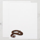 Rattlesnacht mit Weihnachtsmannmütze (Vorne/Hinten)