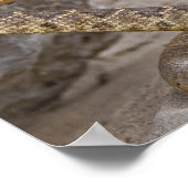Rattlesnake-Angriff Poster (Ecke)