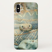 Rattlesnake Case-Mate iPhone Hülle (Rückseite)