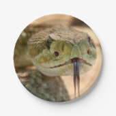 Rattlesnake Closeup Foto Pappteller (Vorderseite)