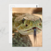 Rattlesnake Closeup Foto Postkarte (Vorne/Hinten)