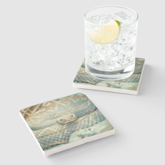 Rattlesnake Drink Untersetzer (Seitenansicht)