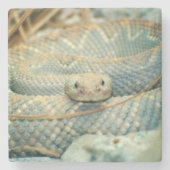 Rattlesnake Drink Untersetzer (Vorderseite)