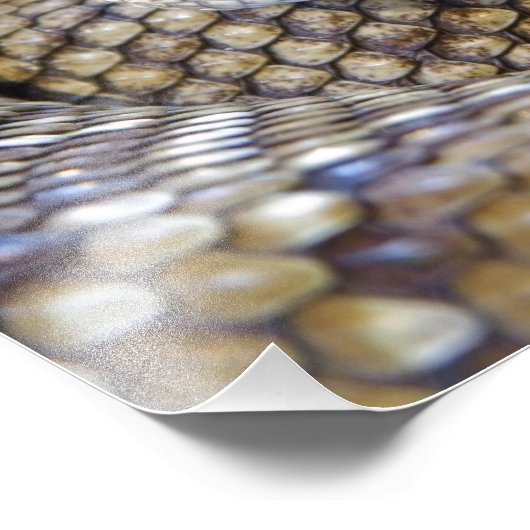 Rattlesnake Foto (Ecke)