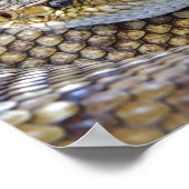 Rattlesnake Foto Poster (Ecke)