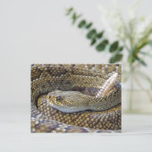 Rattlesnake Foto Postkarte (Stehend Vorderseite)