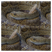 Rattlesnake Foto Stoff (Nahaufnahme)