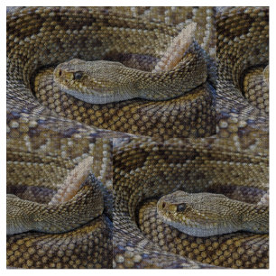 Rattlesnake Foto Stoff