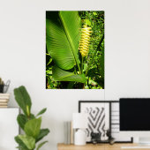 Rattlesnake Ginger Poster (Heimbüro)