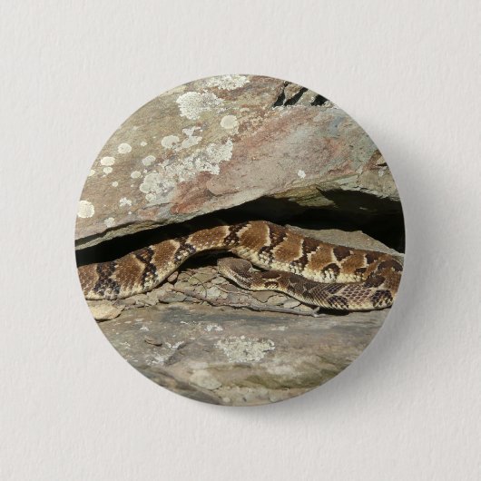 Rattlesnake im Shenandoah-Nationalpark Button (Vorderseite)