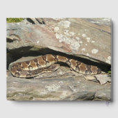 Rattlesnake im Shenandoah-Nationalpark Gästebuch (Rückseite)